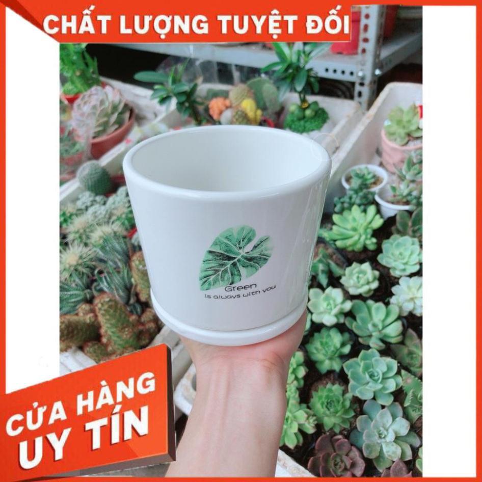 Chậu kiểu tráng men cao cấp kèm dĩa lót