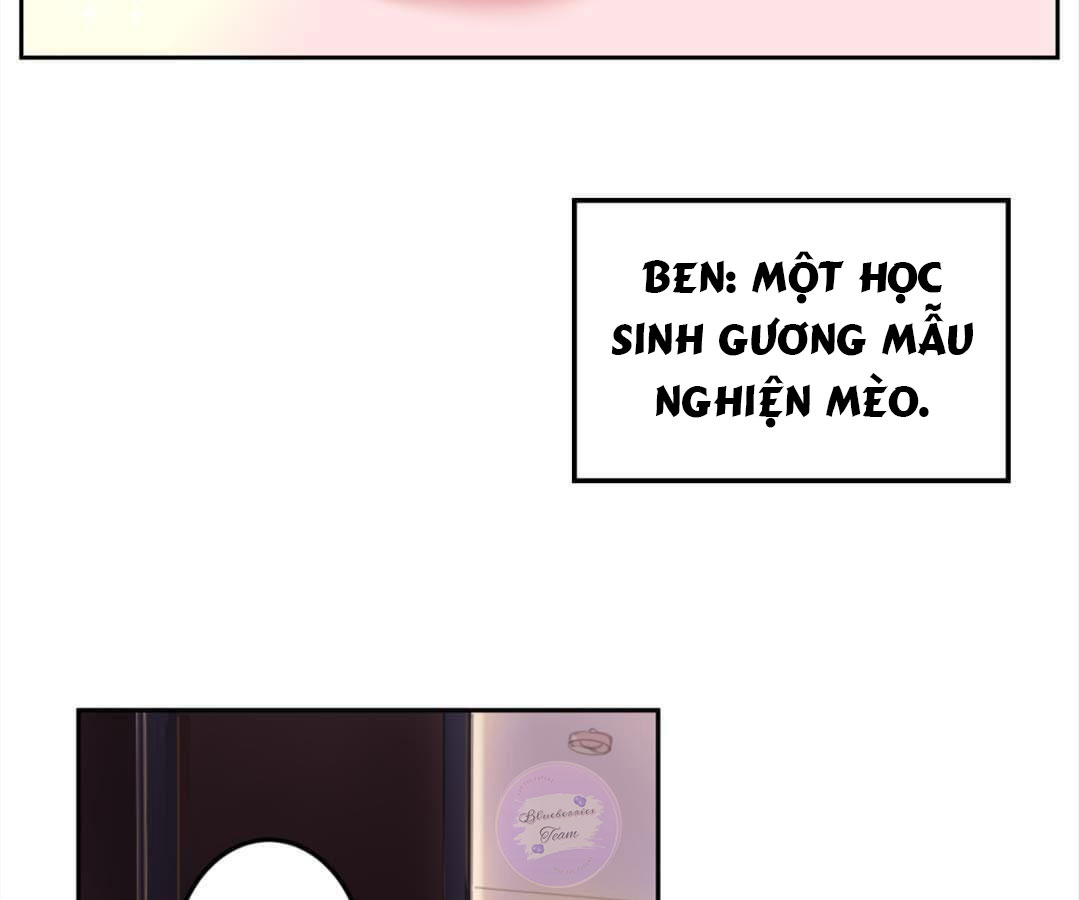 social cat chapter 1 47