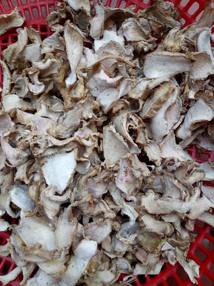 Gừng gió handmade
