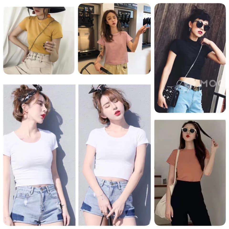 áo croptop nữ body - áo Kiểu Nữ Nhiều Màu Hàng Đẹp