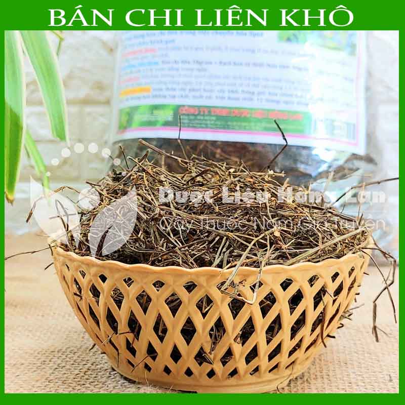Cây BÁN CHI LIÊN khô đóng gói 500g - Hàng Công ty loại 1