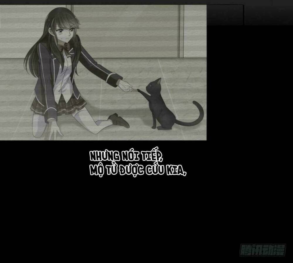 mộ thiếu, lão bà ngươi trọng sinh lại rồi! chapter 18 2