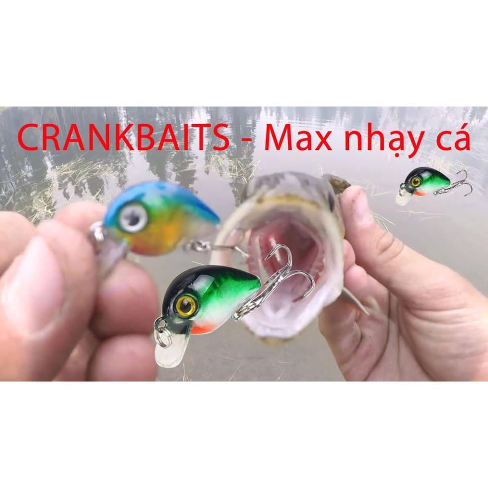 Mồi Câu Cá Mồi Ruồi Chuyên Câu Cá Rô Phi Giá Rẻ MG9 đồ câu FISHING_HD