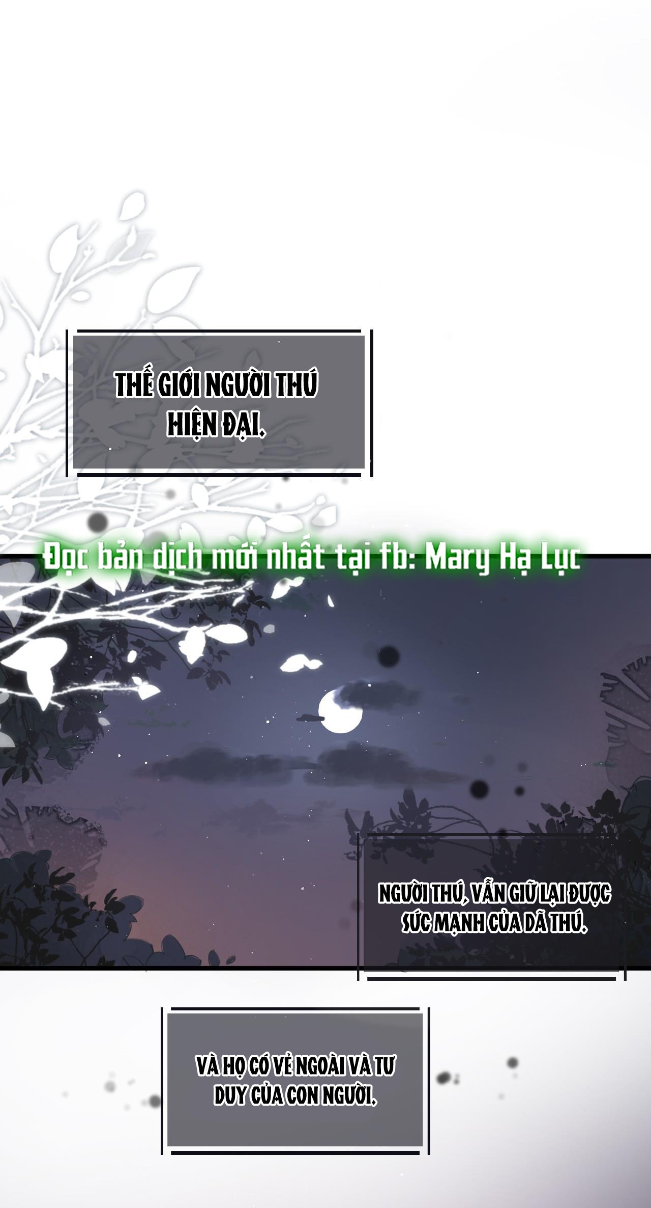 tiểu thư sói và em gái hồ ly của cô ấy chapter 1 3