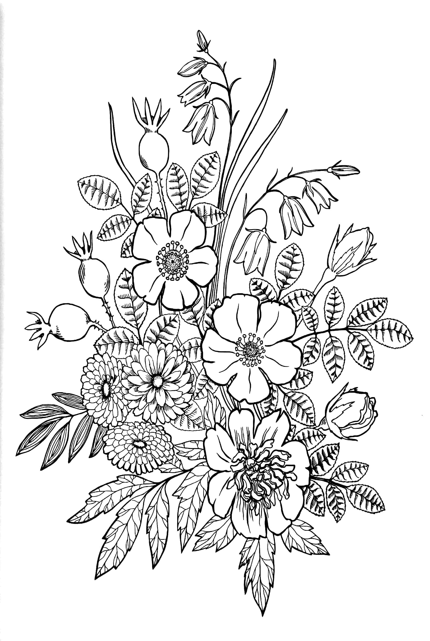 Enchanting Adult Colouring Series - Book 4
