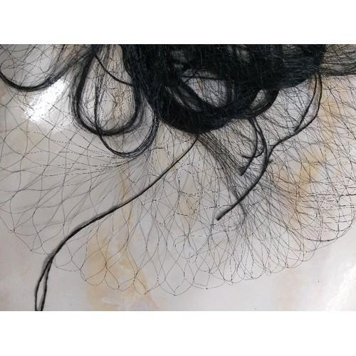 Lưới Bẫy Chim Cu Gáy 20M Cao 5m sợi 15