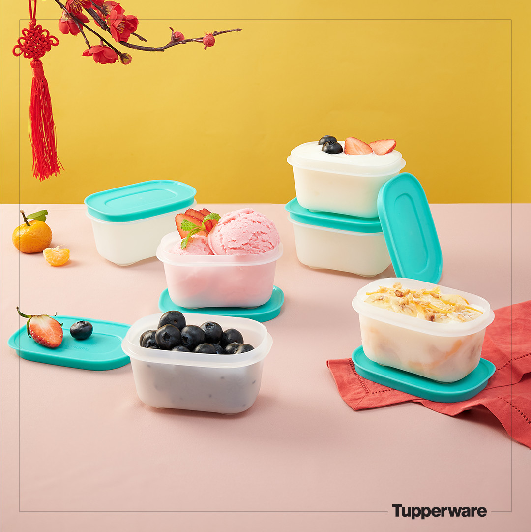 Bộ hộp trữ đông Tupperware Mini Freezermate Gen II 170ml (6)