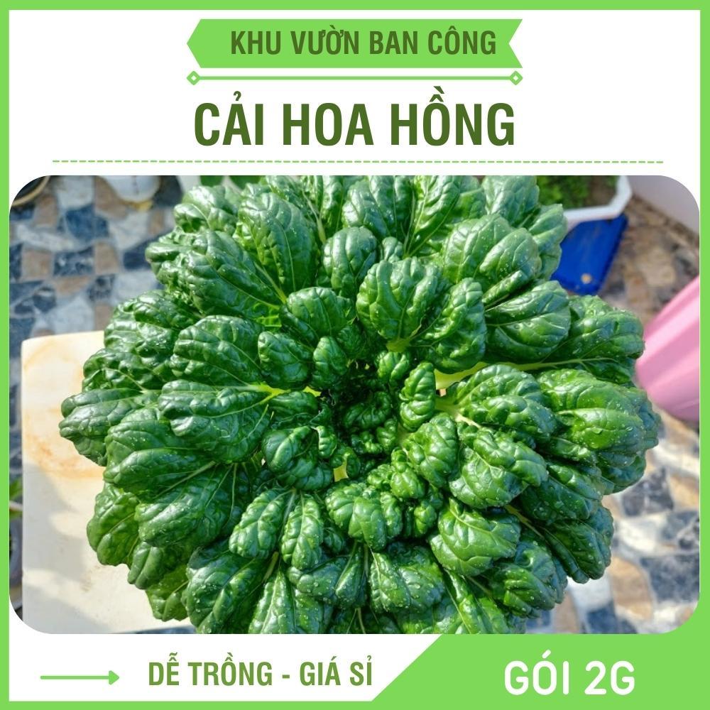 Hạt Giống Cải Hoa Hồng Tassoi Gói 2Gr - Khu Vườn Ban Công