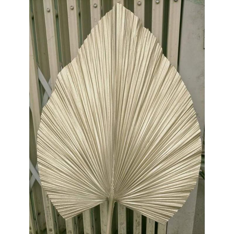 Lá Cọ Khô Đã Phun Sơn Màu Siêu Bền Đẹp . Lá Cọ Trang Trí , Decor