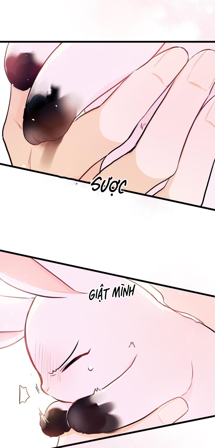 mối liên kết giữa báo đen và bé thỏ chapter 10 57