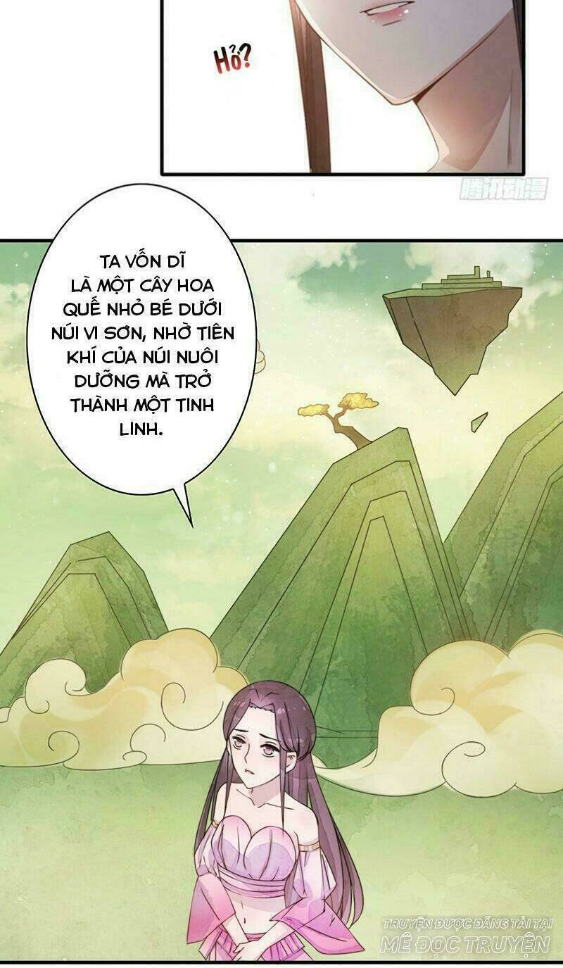 yêu tiên ca chapter 11 12