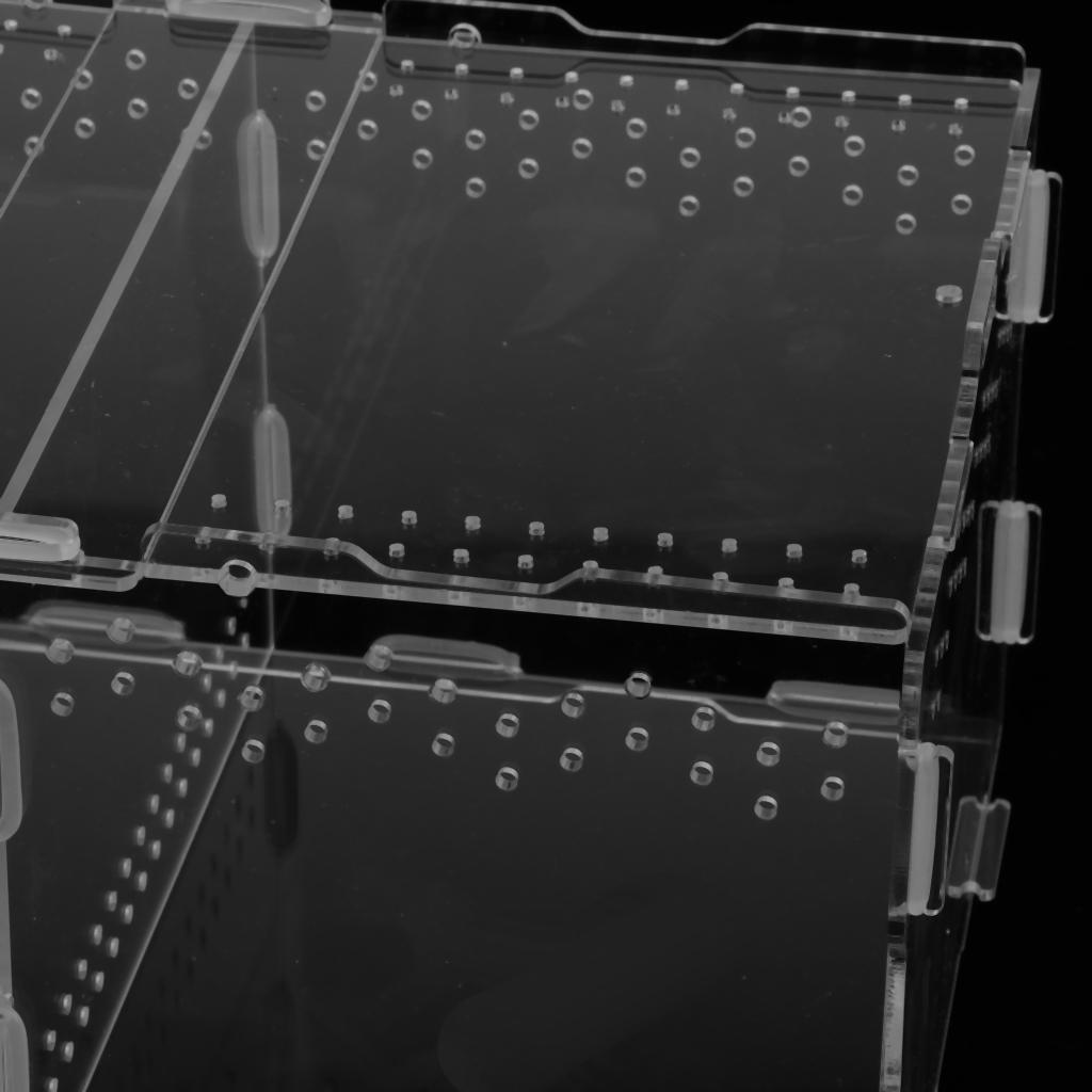 Acrylic Feeding Container Breeding Room for Reptile