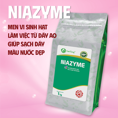 Vi sinh dạng hạt xử lý đáy ao nuôi thủy sản NIAZYME