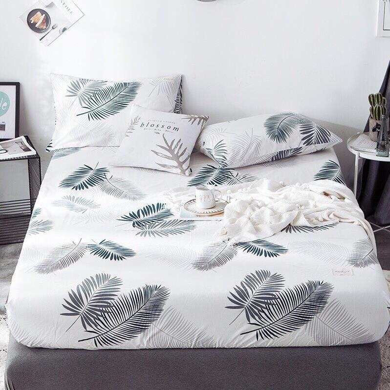 Bộ ga gối cotton living - mẫu Lá Cọ Trắng