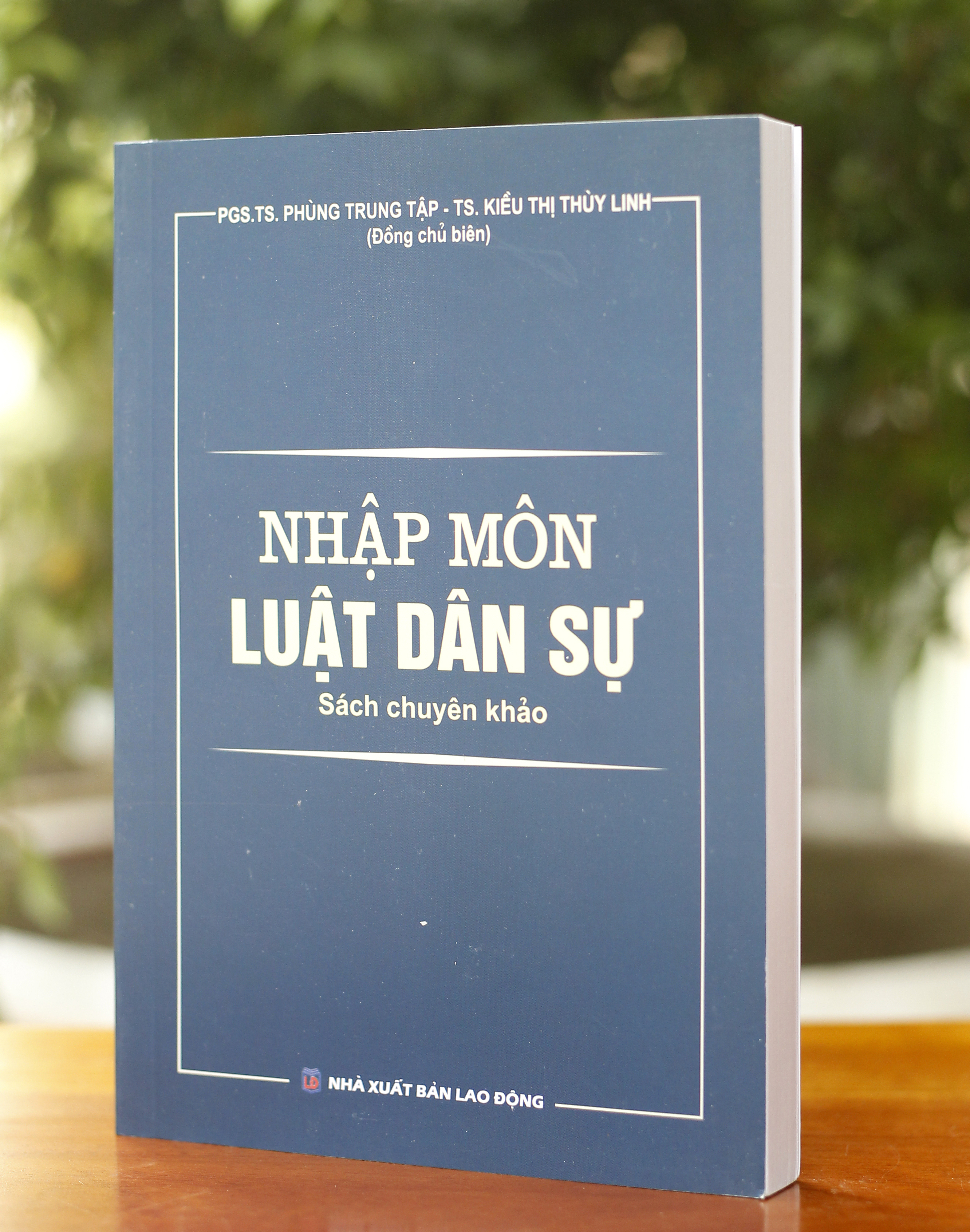 Nhập Môn Luật Dân Sự - Sách Chuyên Khảo
