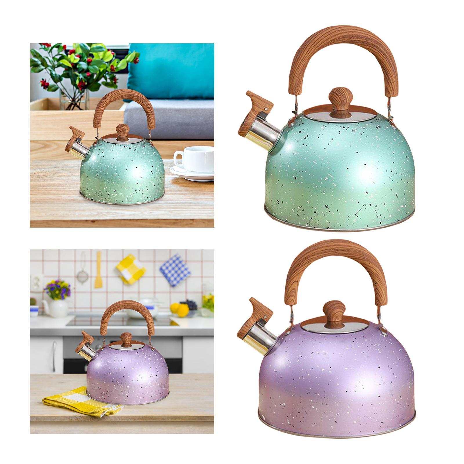 3L Whistle tea Kettle for Boiling water,