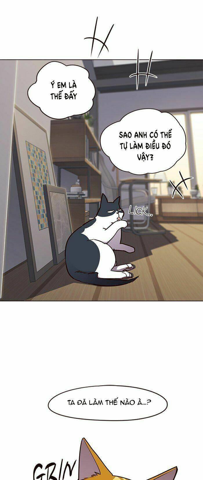 biến thân thành mèo chapter 64 62