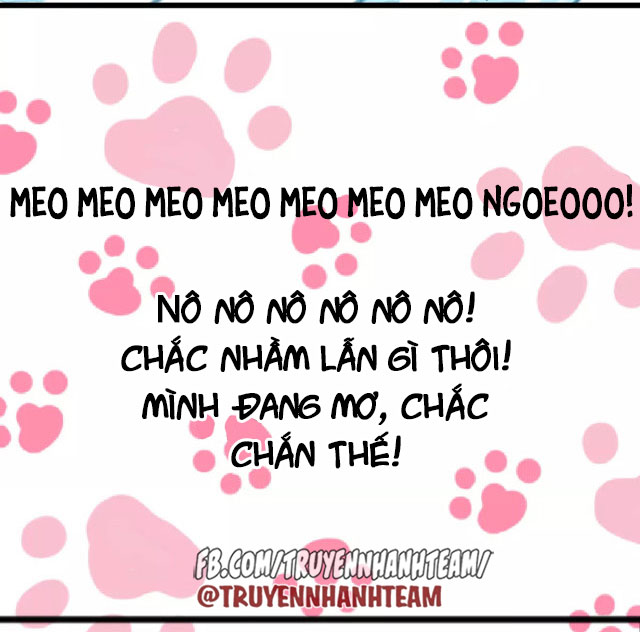 xã hội mèo chapter 1 18