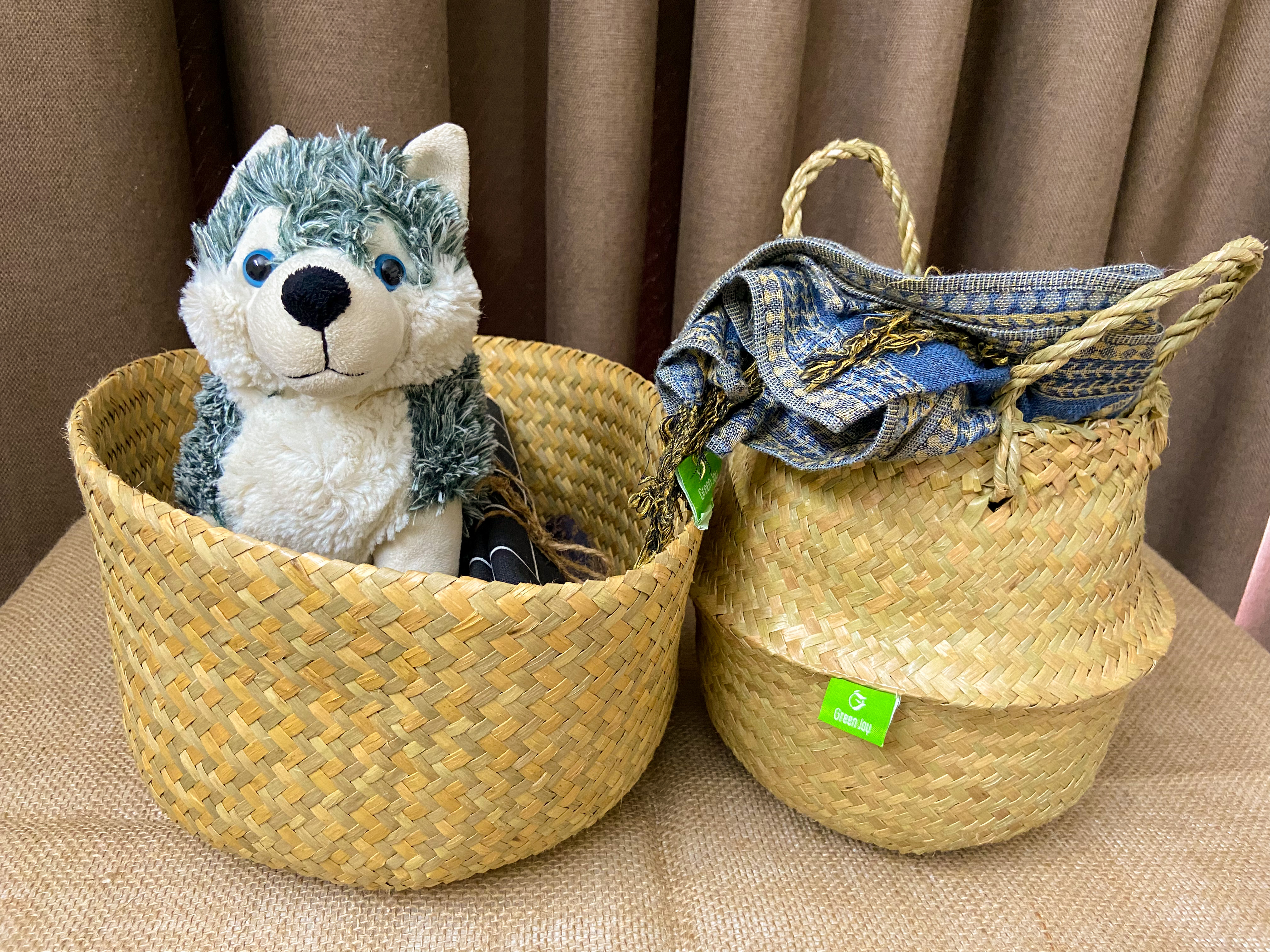 Giỏ chậu cây cỏ bàng - Green Joy