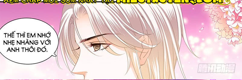 lóe thiểm hôn kiều thê mơ tưởng trốn chapter 211 11