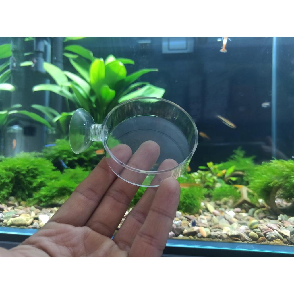 Đĩa cho tép ăn bằng acrylic có hít kính - dụng cụ đựng thức ăn cá cảnh, tép cảnh-phụ kiện thủy sinh-shopleo