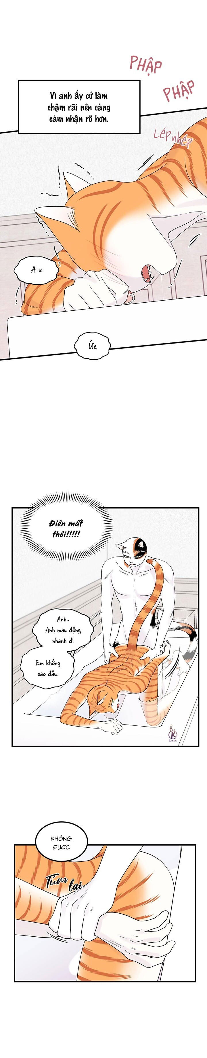 dự án xanh chapter 38 12