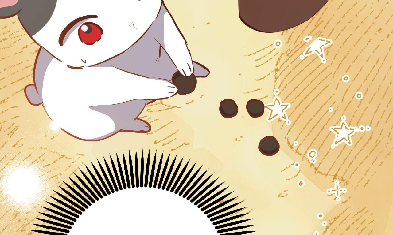 đàn thỏ của habibi chapter 48 257