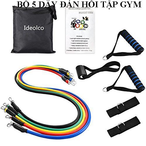 Dụng cụ tập gym, Dây đàn hồi tập gym, Bộ 5 dây đàn hồi tập thể hình gọn nhẹ, có tính đàn hồi cao, bền, an toàn