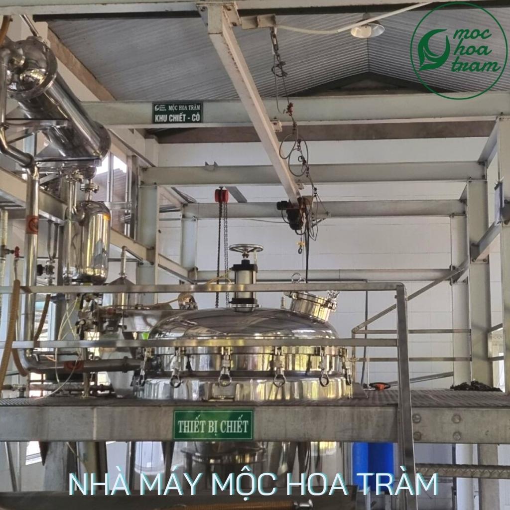 Tinh dầu Vỏ Bưởi Mộc Hoa Tràm, Tinh dầu thiên nhiên, Nguyên chất 100%