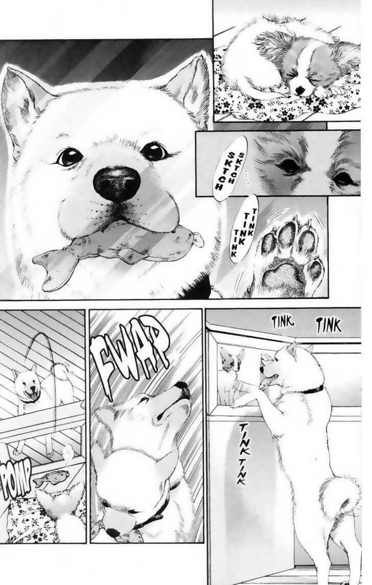 cô nàng yêu chó chapter 12 10