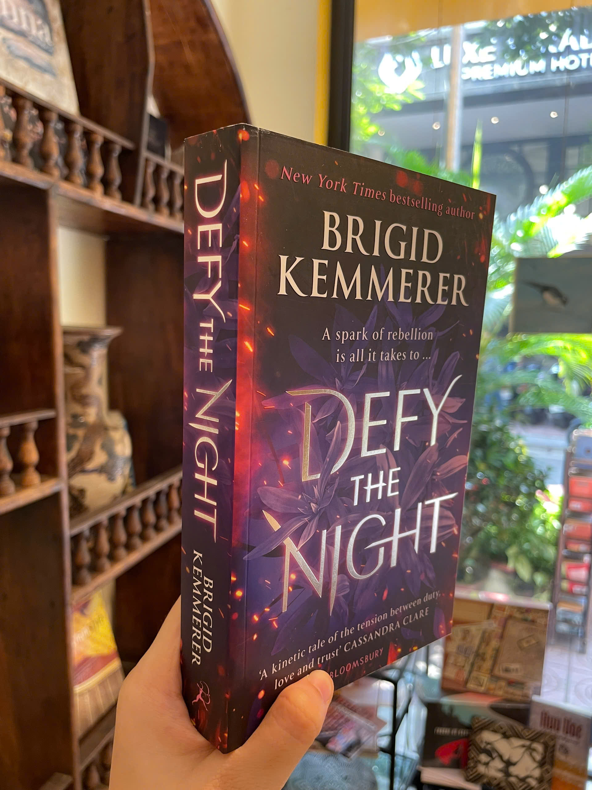 Sách - Defy the Night by Brigid Kemmerer - Fantasy/Young Adult/Romance book in English - Ngoại Văn