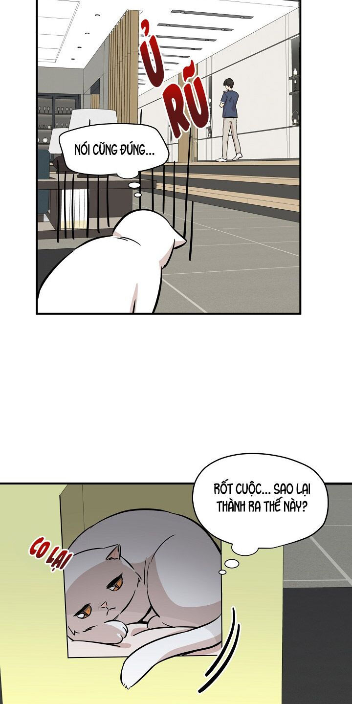 cuộc sống kỳ thú chapter 44 27