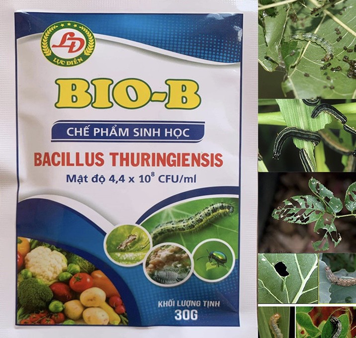 Chế phẩm sinh học công nghệ cao Bio-B hoạt lực mạnh , diệt sâu bọ ,côn trùng gây hại - sản phẩm chính hãng ( gói màu trắng )
