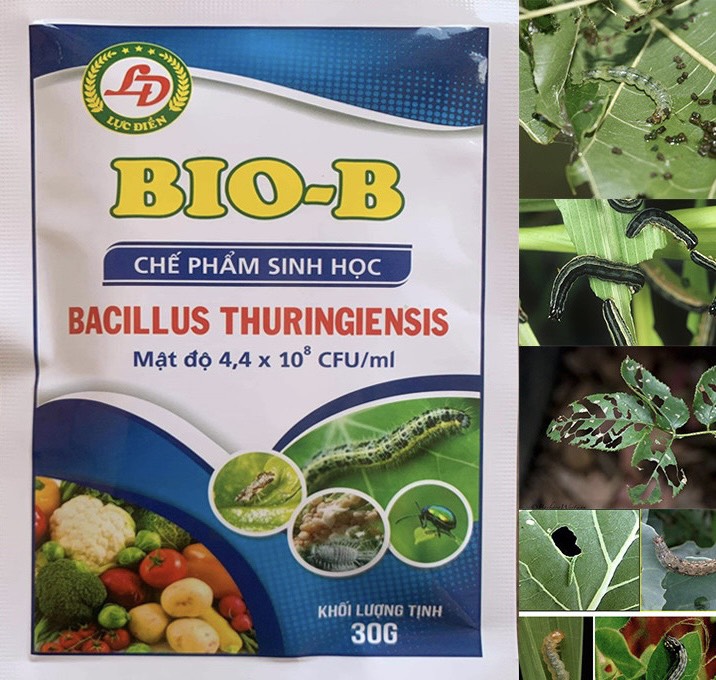 Chế phẩm sinh học công nghệ cao Bio-B hoạt lực mạnh , diệt sâu bọ ,côn trùng gây hại - sản phẩm chính hãng