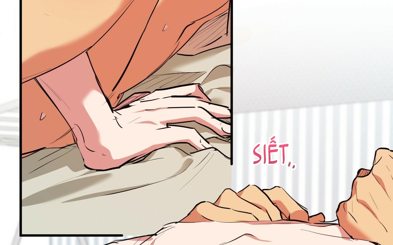 đàn thỏ của habibi chapter 38 179