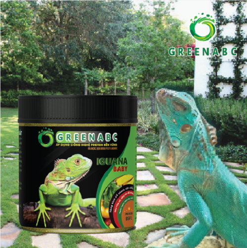 Thức ăn bò sát IGUANA BABY - Rồng Nam Mỹ Baby từ mới nở đến 9x