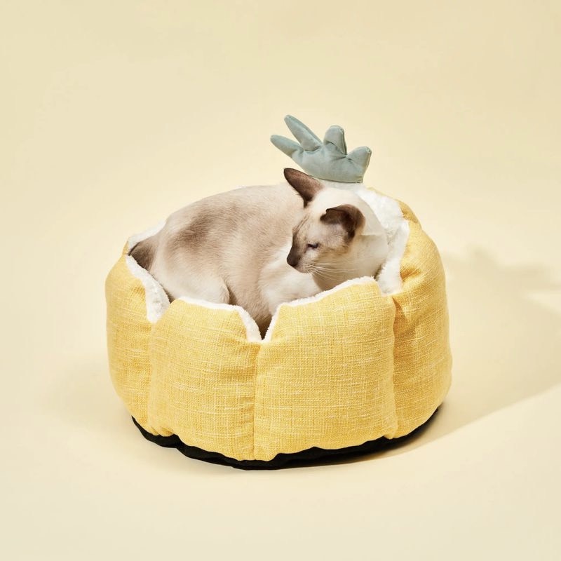 Nệm Ngủ Bốn Mùa PETKIT Hình Trái Thơm Cho Thú Cưn