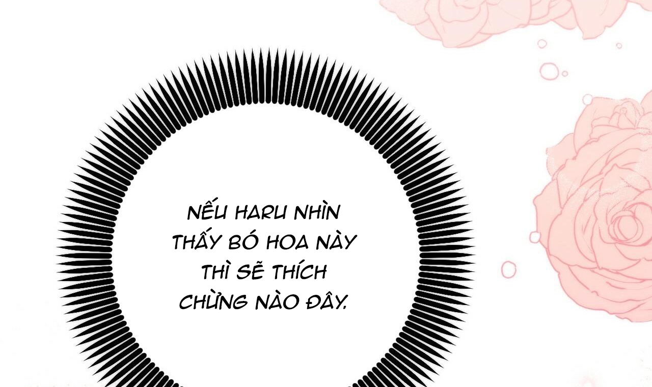đàn thỏ của habibi chapter 44 229