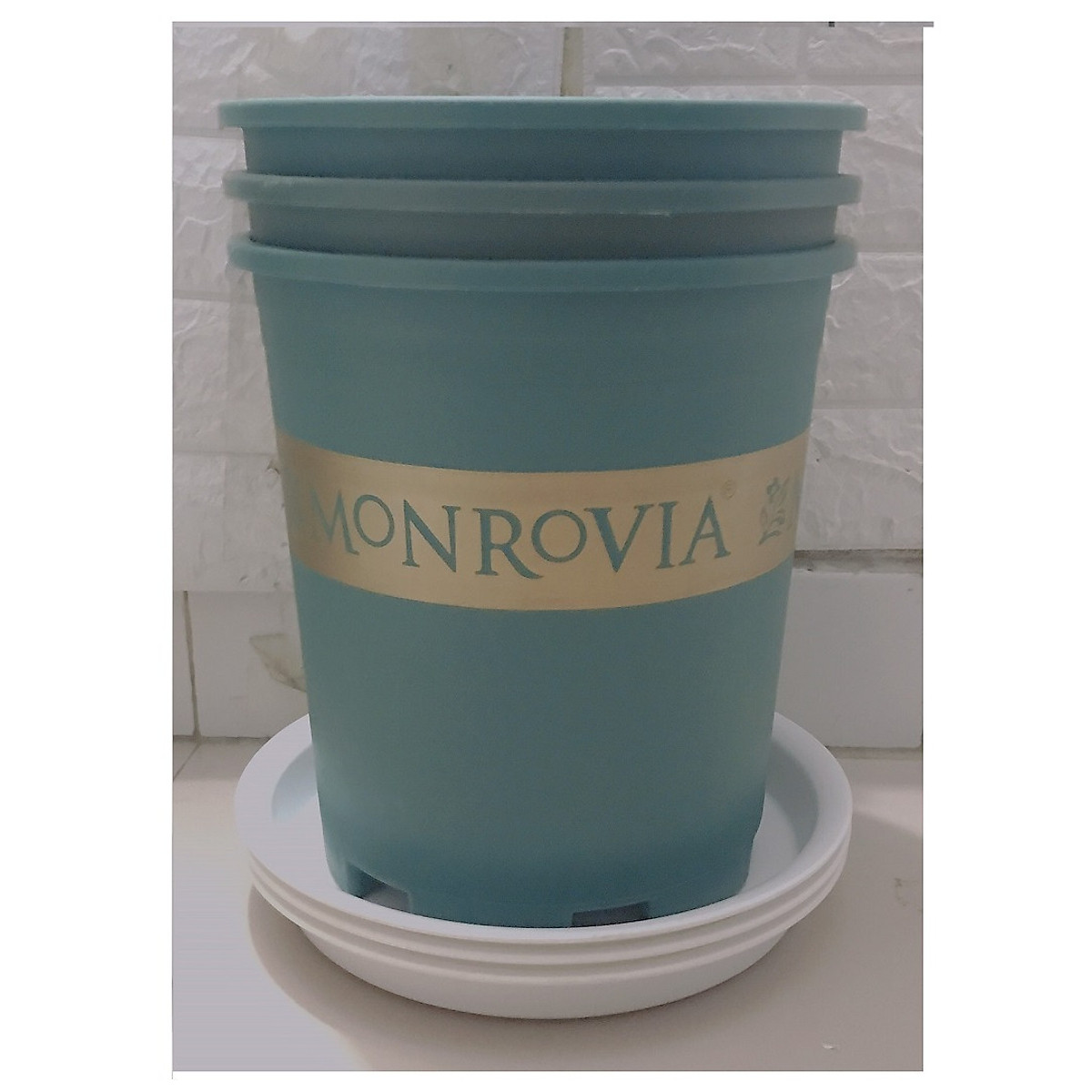 Combo 3 Chậu MONROVIA CH Garden 3Gal Màu Xanh + 3 Khay Lót Đế Chậu D270