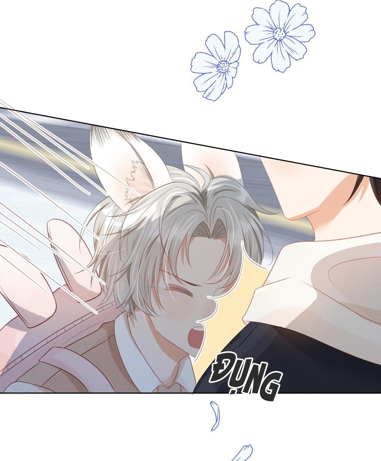 [ss2] một ngụm ăn cả thỏ con chapter 1 27