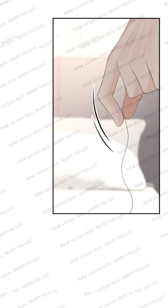 cuộc hôn nhân hoàn hảo chapter 43.1 21