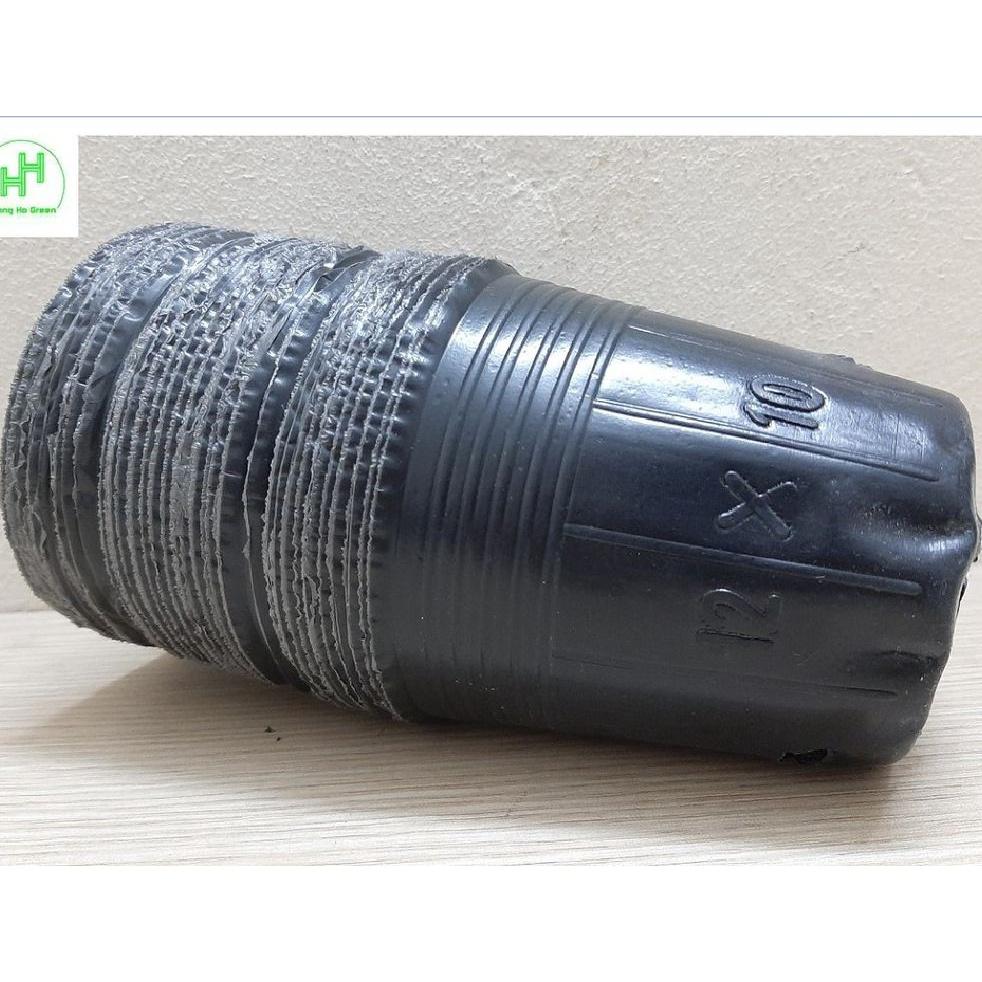 10 Chậu nhựa 9cm,dẻo màu đen ươm cây ,ươm hạt giống