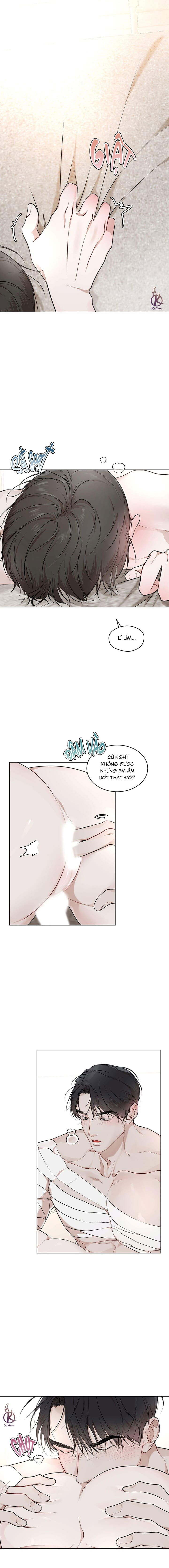 hình thái khởi sinh chapter 65 1