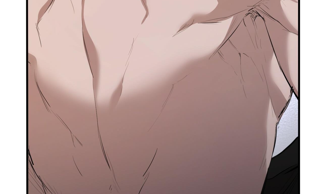 đàn thỏ của habibi chapter 27 233