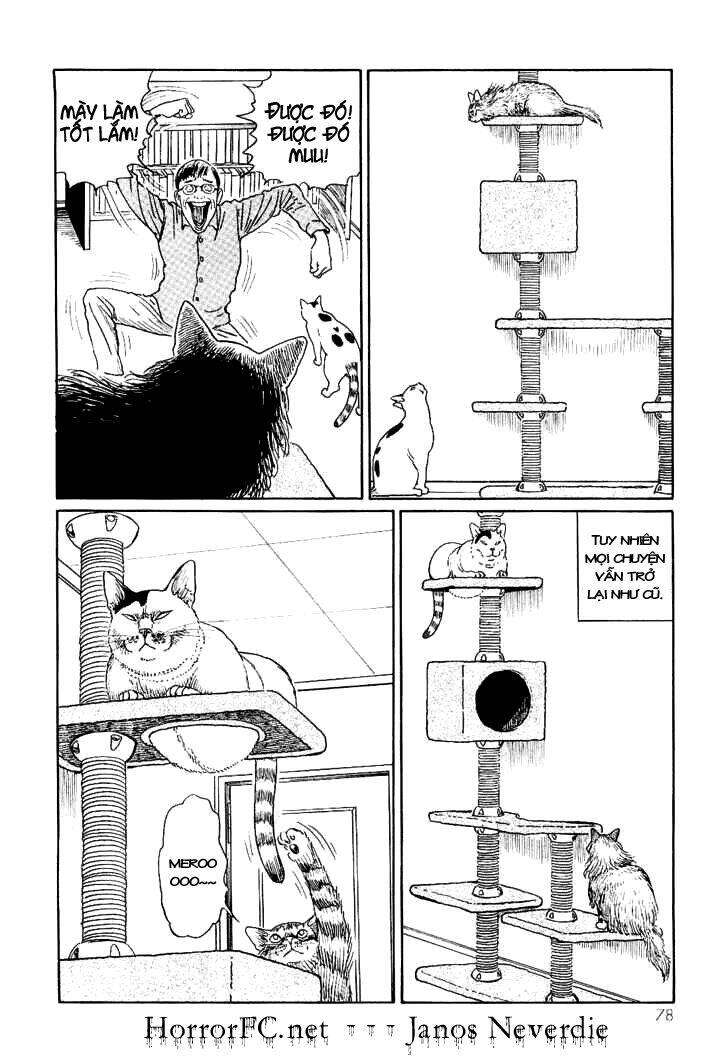ito junji cat's diary chapter 7 10