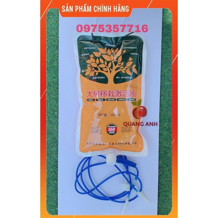 DỊCH TRUYỀN - DINH DƯỠNG TRÊN CHO CÂY - DỊCH TRUYỀN CÂY CÔNG TRÌNH