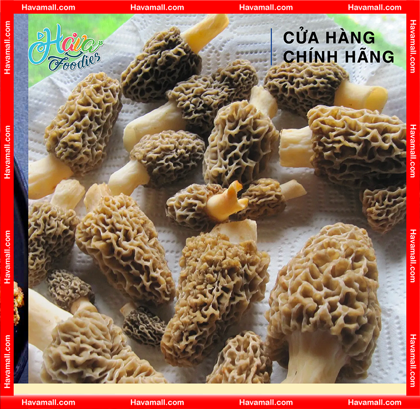 Nấm Bụng Dê Khô Nhập Khẩu Hủ 30g Havafoodies – Dried Morel