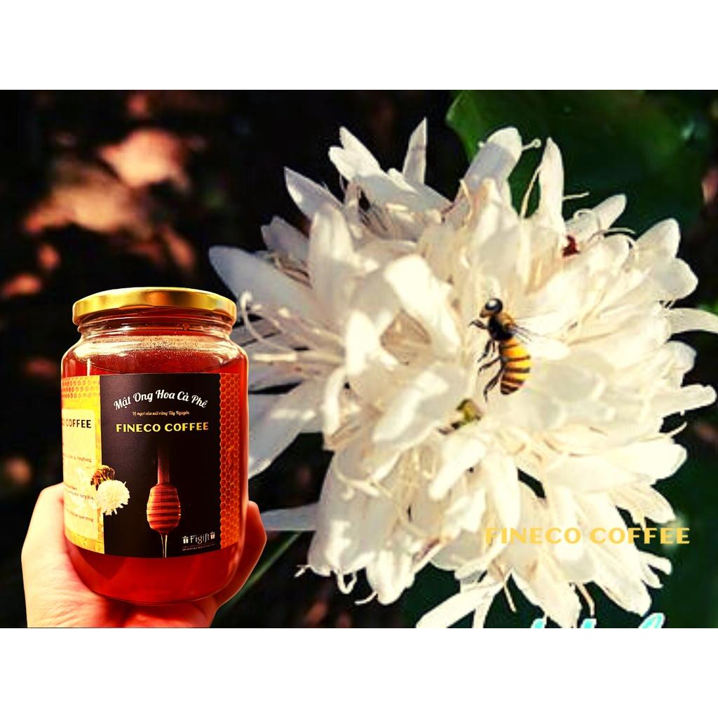 Mật ong hoa cà phê nguyên chất Đắk Lắk, hương vị ngọt ngào của núi rừng Tây Nguyên, Fineco|Hũ thủy tinh 830ml|