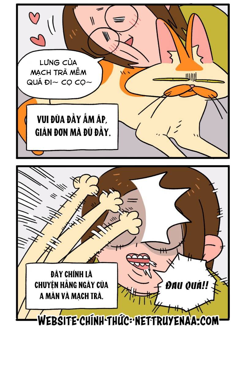 a mãn và mạch trà chapter 1 5