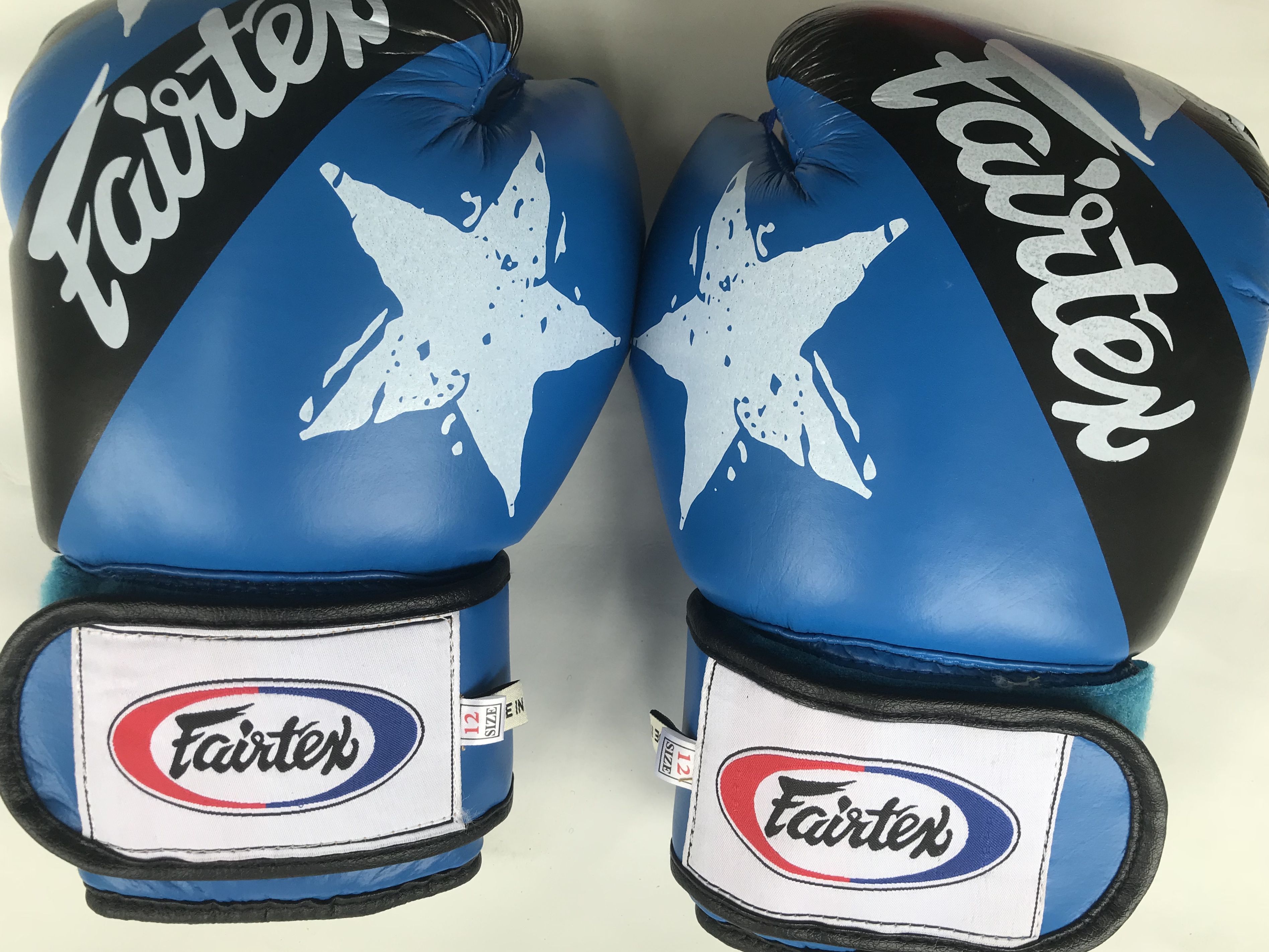 găng dấm bao cát, boxing hãng fairtex 10 oz giá sĩ